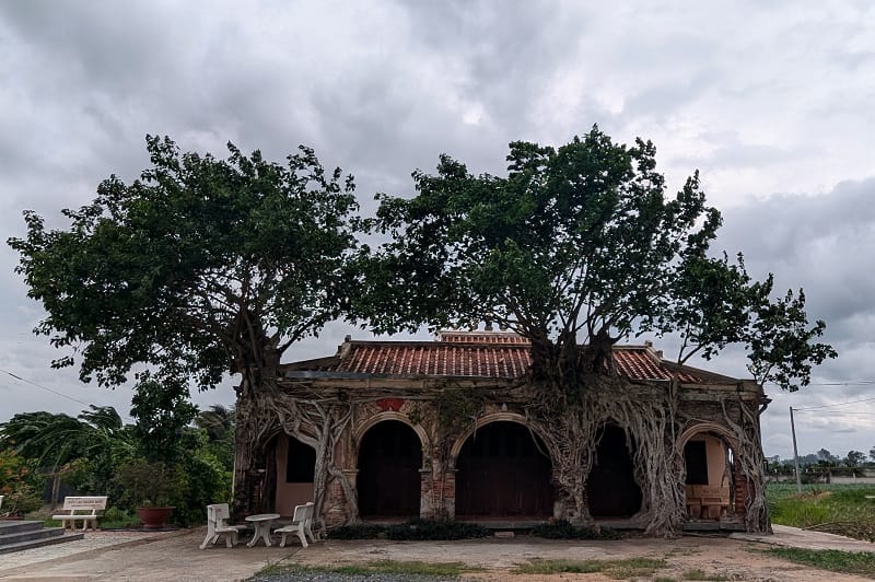 Tập tin:Go-cong-co-gi-ma-di-hoai4-1.jpg