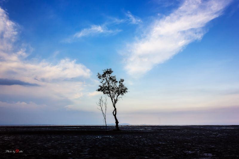 Tập tin:Deltanghia 15130457418 Go Cong 1.jpg