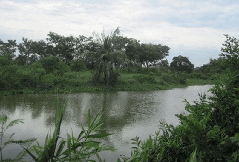 Tập tin:Image-38.jpg