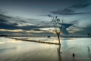 Bombo-home 9151354324 Gò Công.jpg