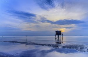 Deltanghia 18916676280 Tan Thanh Sea.jpg