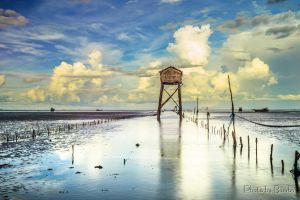 Bombo-home 9151356132 Gò Công.jpg