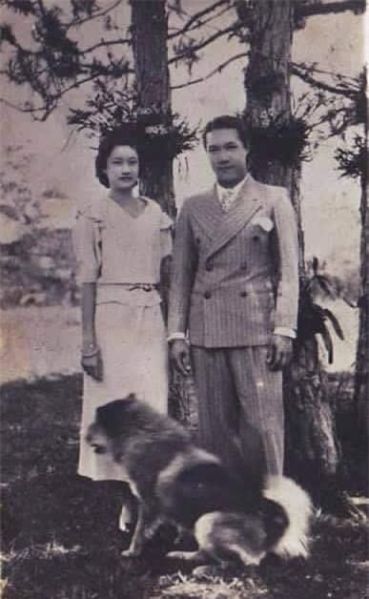 Tập tin:EixoNjL.jpg