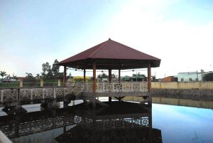 32531512@N06 5623676464 KDP 0163-scaled.jpg