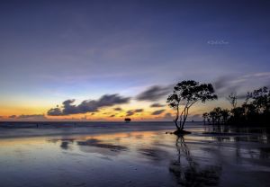 Deltanghia 26800812524 Tan Thanh sea.jpg