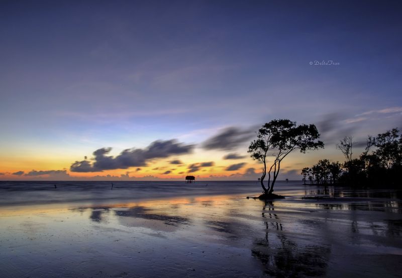 Tập tin:Deltanghia 26800812524 Tan Thanh sea.jpg