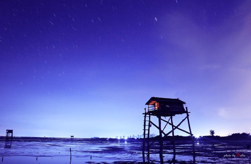 Tập tin:Deltanghia 15289121259 Go Cong 5.jpg