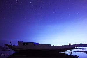 Deltanghia 15452922266 Go Cong 3.jpg