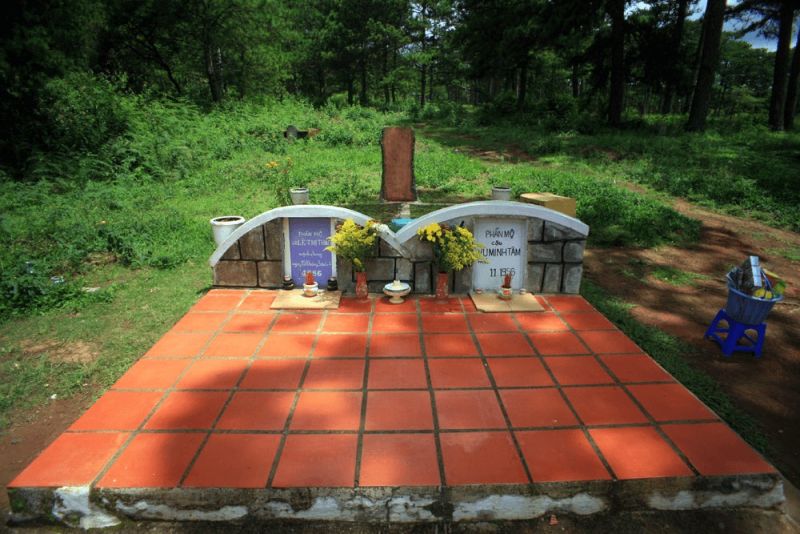 Tập tin:Image-55.jpg