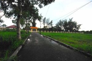 32531512@N06 5623681640 KDP 0188-scaled.jpg