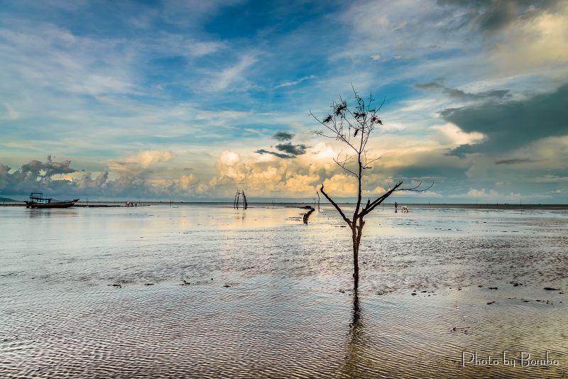 Tập tin:Bombo-home 9149127549 Gò Công.jpg