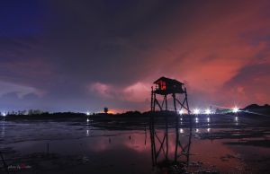 Deltanghia 15475651672 Go Cong 4.jpg