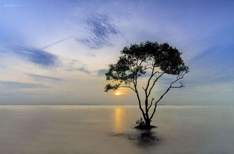 Tập tin:Deltanghia 18974921049 Tan Thanh Sea.jpg