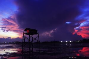 Deltanghia 15289440927 Go Cong 2.jpg