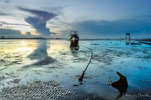 Bombo-home 9151353606 Gò Công.jpg