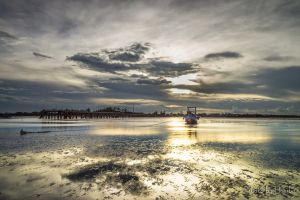 Bombo-home 9151355612 Gò Công.jpg